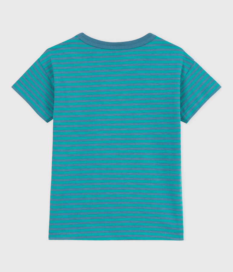 Tee-shirt ray&eacute; en coton enfant gar&ccedil;on vert LAVIS/bleu VERDE