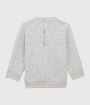 gris BELUGA CHINE