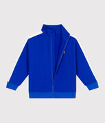 bleu PERSE