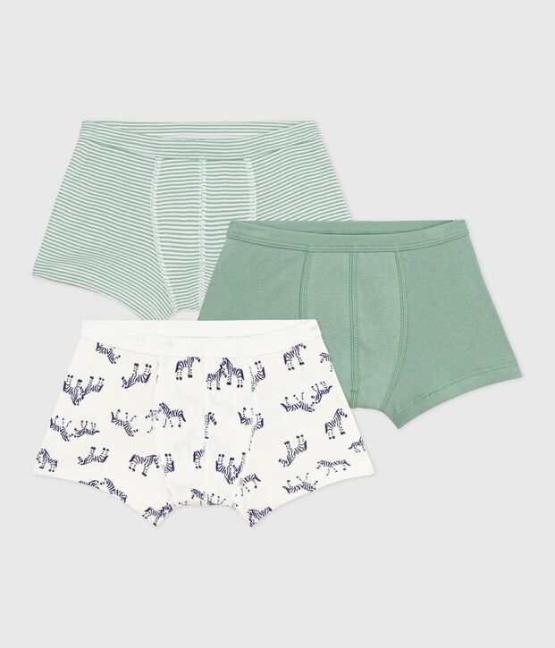 Lot de boxers enfant en coton &agrave; ceinture collet&eacute;e imprim&eacute; z&egrave;bres multicouleur