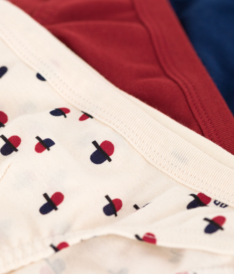 Lot de 3 slips petit gar&ccedil;on en coton multicouleur