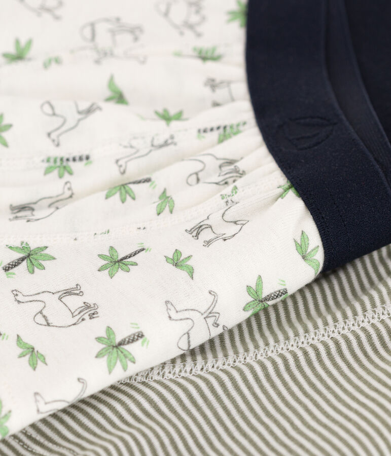 Lot de 2 boxers dromadaires en coton petit gar&ccedil;on multicouleur