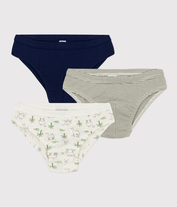 Lot de 3 slips dromadaires en coton petit gar&ccedil;on multicouleur