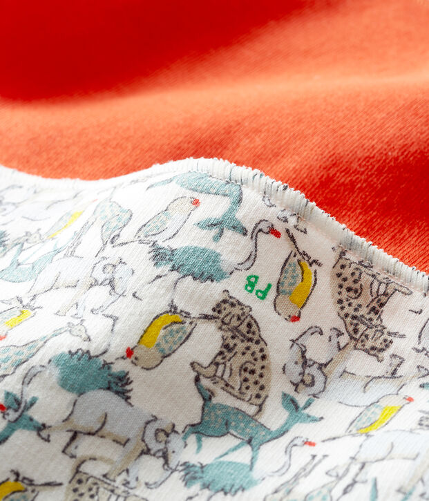 Lot de 2 bandanas-bavoirs b&eacute;b&eacute; gar&ccedil;on multicouleur