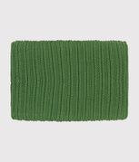 vert PALMERAIE