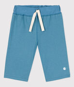 bleu LAVIS