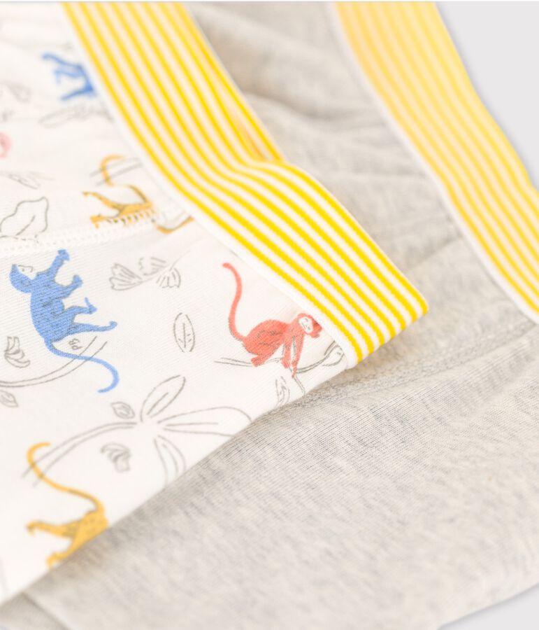 Lot de 2 boxers petit gar&ccedil;on singes en coton biologique multicouleur