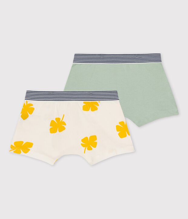 Lot de 2 boxers petit gar&ccedil;on grandes palmes en coton multicouleur
