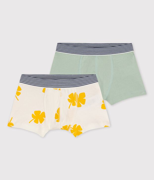 Lot de 2 boxers petit gar&ccedil;on grandes palmes en coton multicouleur