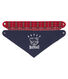 Lot de 2 bandanas-bavoirs bébé garçon