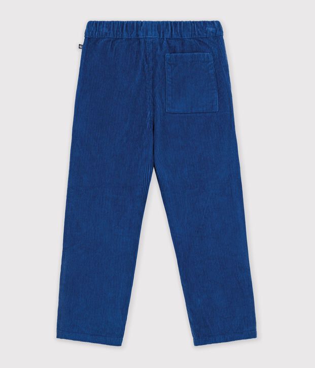 Pantalon droit en velours bleu