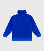 bleu PERSE