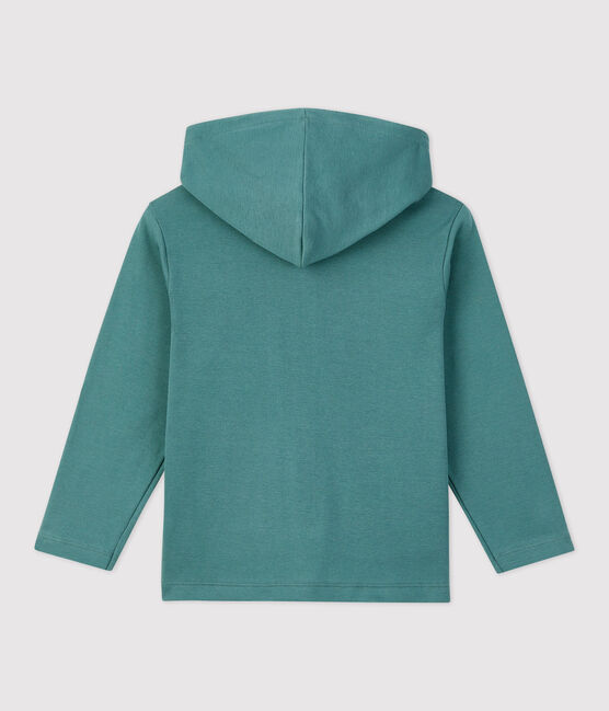 Sweatshirt à capuche enfant fille / garçon vert BRUT