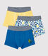 Lot de 3 boxers imprimé panthères petit garçon en coton
