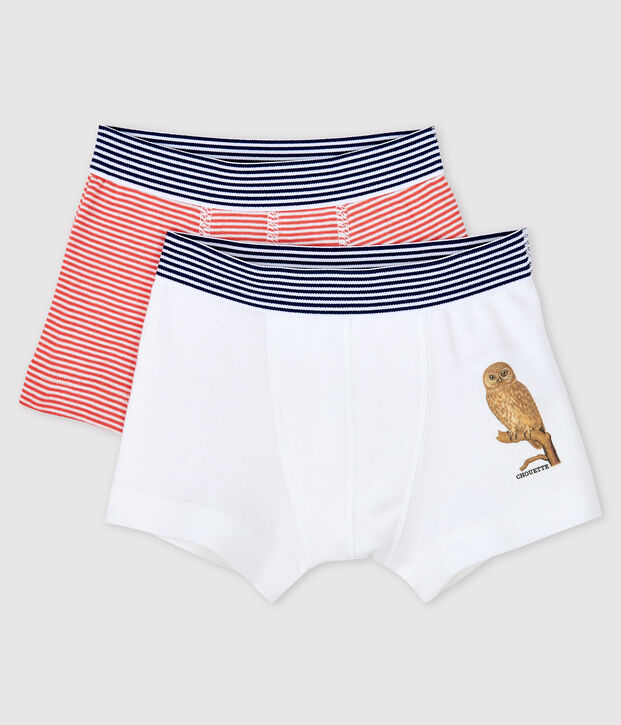 Lot de 2 boxers petit gar&ccedil;on Petit Bateau x Deyrolle multicouleur