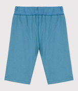 bleu LAVIS