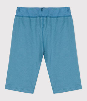 bleu LAVIS