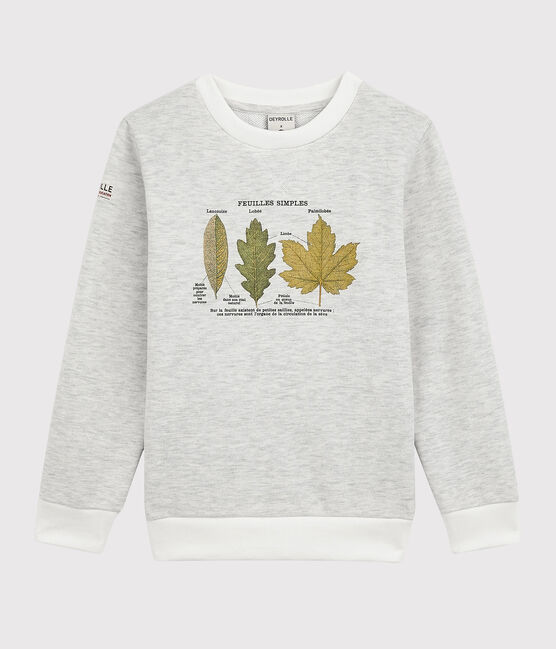 Sweatshirt enfant garçon Petit Bateau x Deyrolle beige MONTELIMAR CHINE
