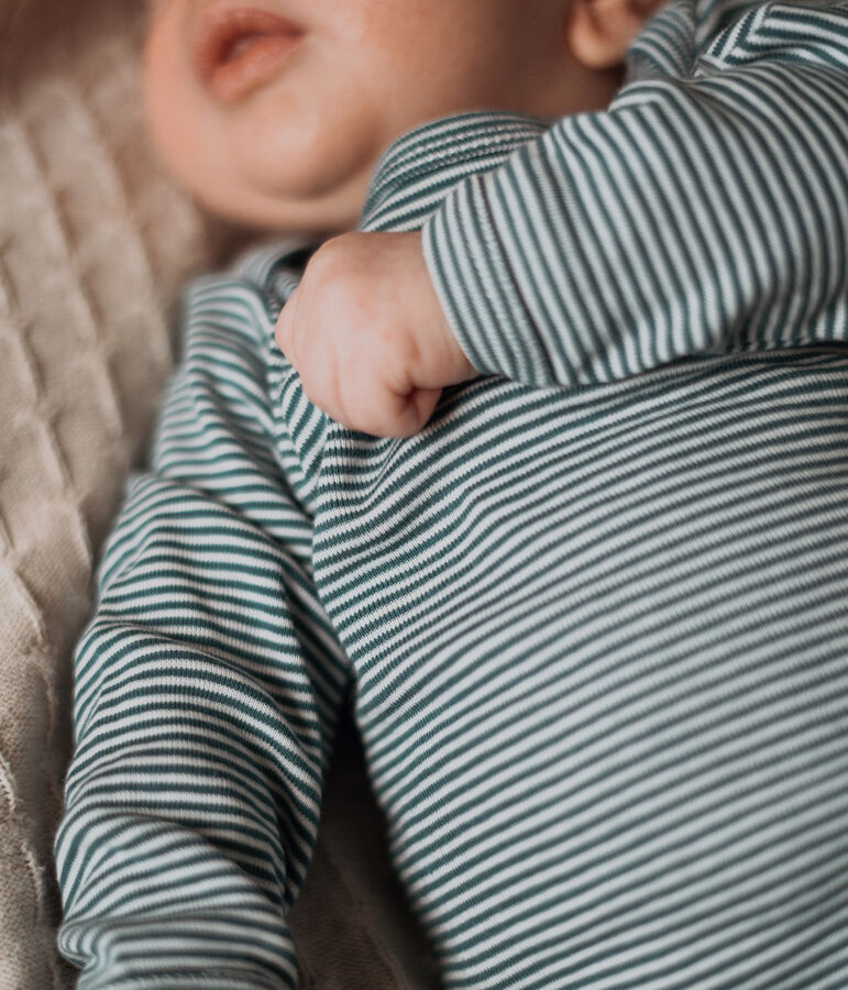 Lot de 3 bodies manches longues b&eacute;b&eacute; gar&ccedil;on Petit Bateau x Deyrolle multicouleur