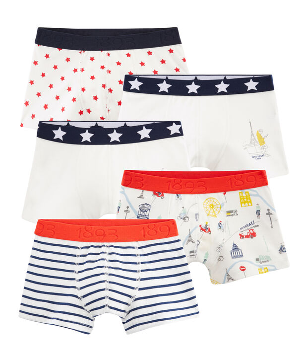 Lot de 5 boxers petit gar&ccedil;on multicouleur