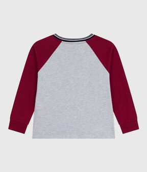 gris FUMEE/ AMARANTE
