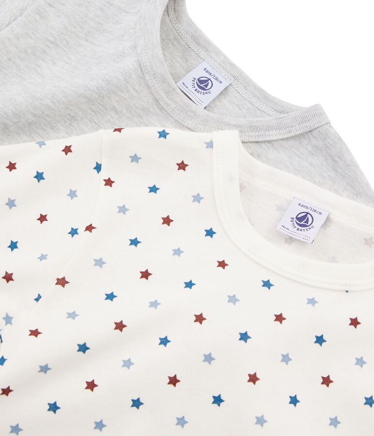 Duo de tee-shirts manches courtes petit gar&ccedil;on multicouleur