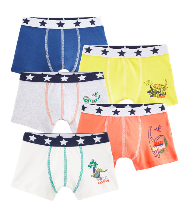 Lot de 5 boxers petit gar&ccedil;on multicouleur