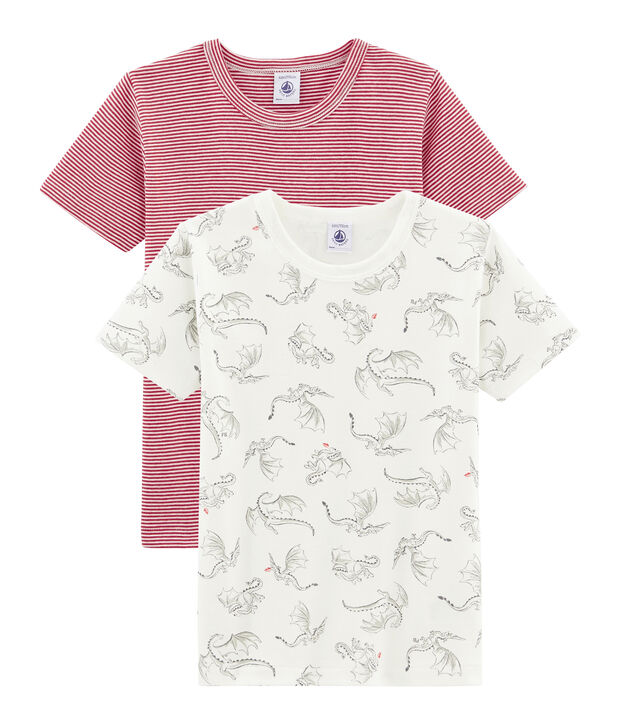 Duo de tee-shirts manches courtes petit gar&ccedil;on multicouleur