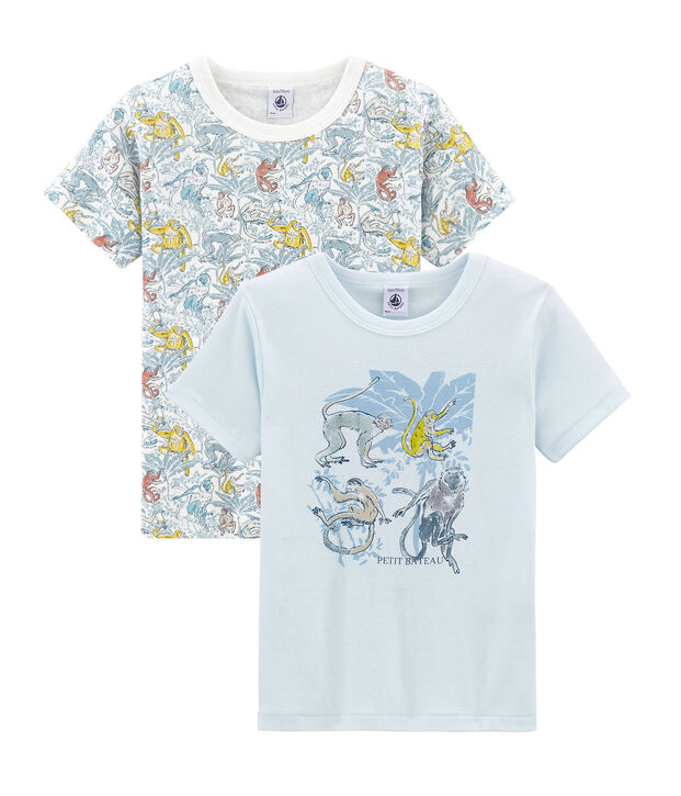 Duo de tee-shirts manches courtes petit gar&ccedil;on multicouleur