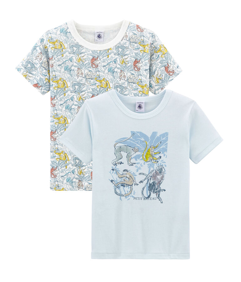Duo de tee-shirts manches courtes petit gar&ccedil;on multicouleur