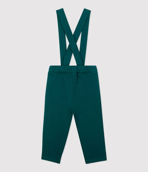 vert PINEDE