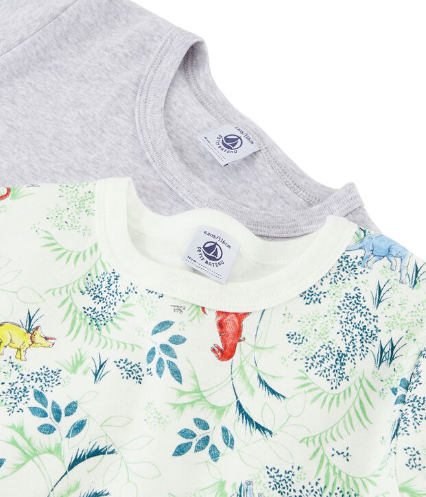 Lot de sous-v&ecirc;tements petit gar&ccedil;on multicouleur