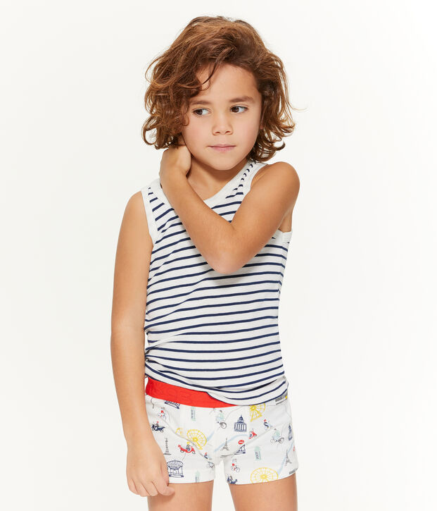 Lot de 5 boxers petit gar&ccedil;on multicouleur