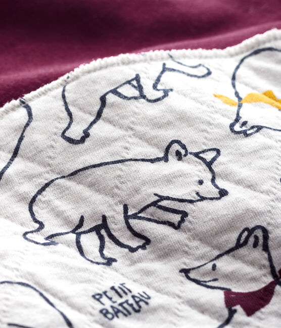 Lot de 2 bandanas-bavoirs bébé variante 1