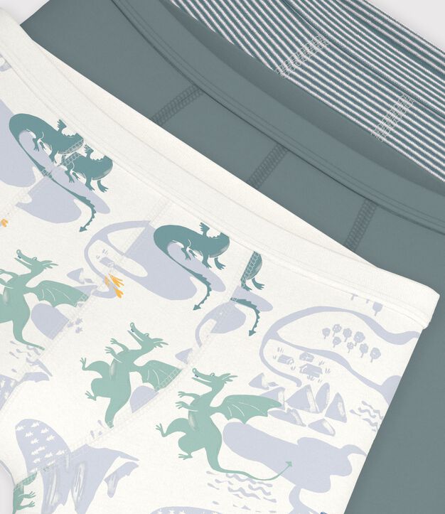 Lot de boxers ceinture collet&eacute;e enfant en coton imprim&eacute; dragons multicouleur