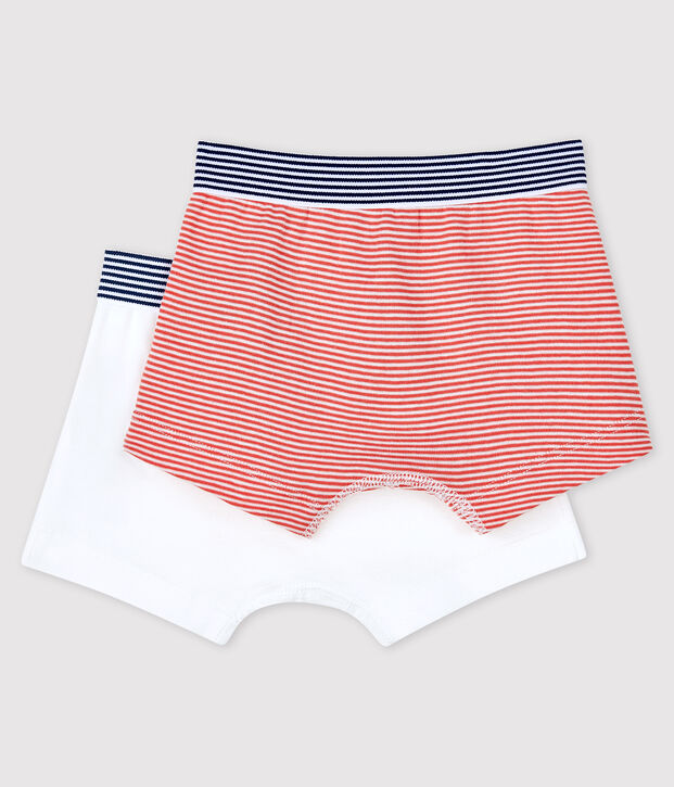Lot de 2 boxers petit gar&ccedil;on Petit Bateau x Deyrolle multicouleur