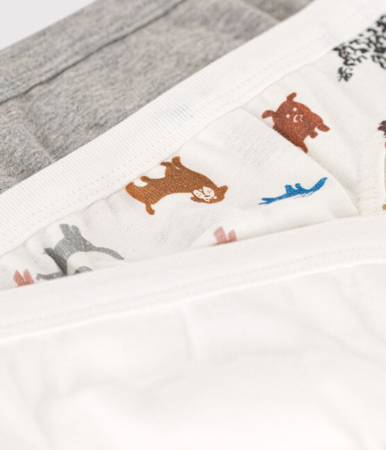 Lot de 3 slips chien en coton petit garçon variante 1
