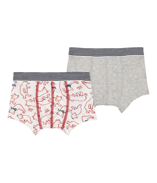 Lot de 2 boxers en coton multicouleur