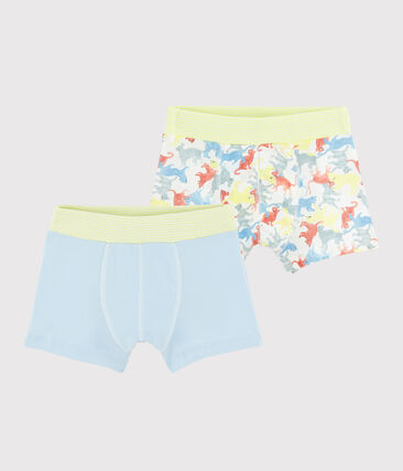 Lot de 2 boxers imprimé chats petit garçon en coton biologique