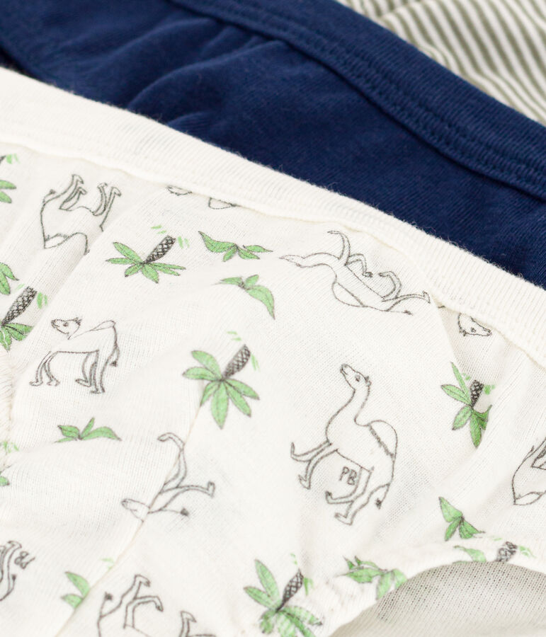 Lot de 3 slips dromadaires en coton petit gar&ccedil;on variante 1