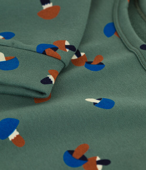 Sweatshirt imprimé en molleton enfant fille / garçon vert VALLEE/écru MULTICO