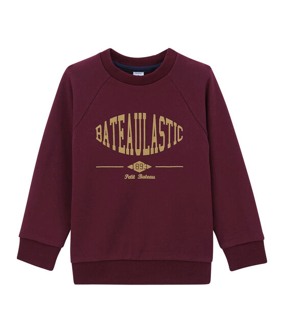 Sweat shirt enfant garçon violet OGRE