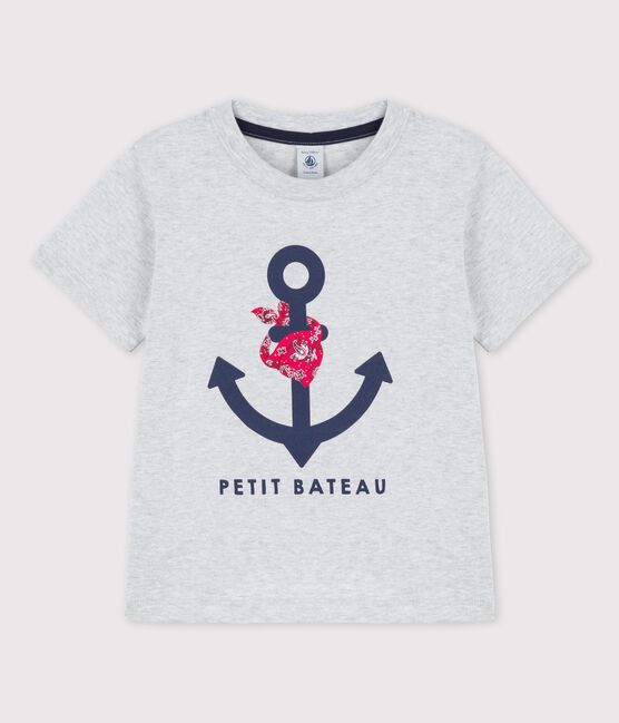T-shirt manches courtes en coton enfant garçon gris POUSSIERE CHINE
