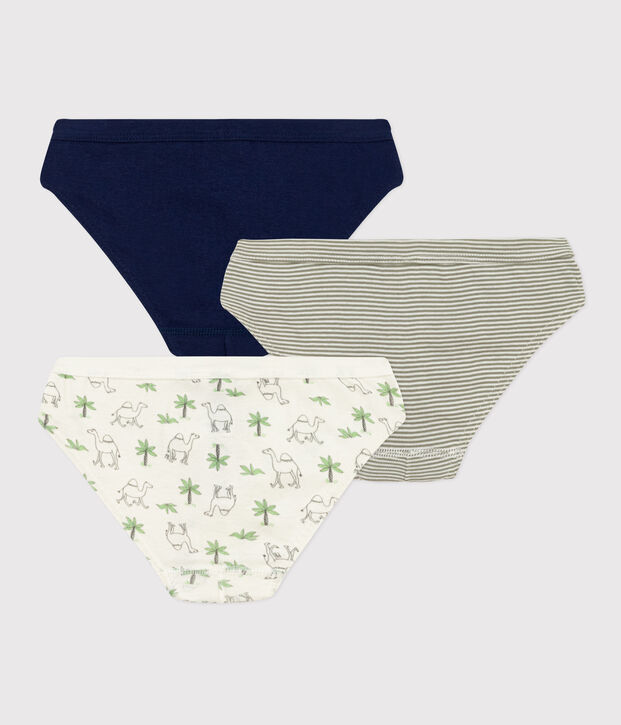 Lot de 3 slips dromadaires en coton petit gar&ccedil;on multicouleur