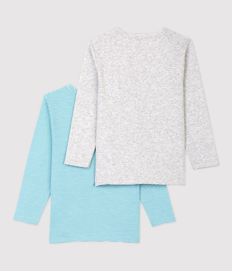Lot de 2 tee shirts manches longues petit gar&ccedil;on en coton biologique multicouleur