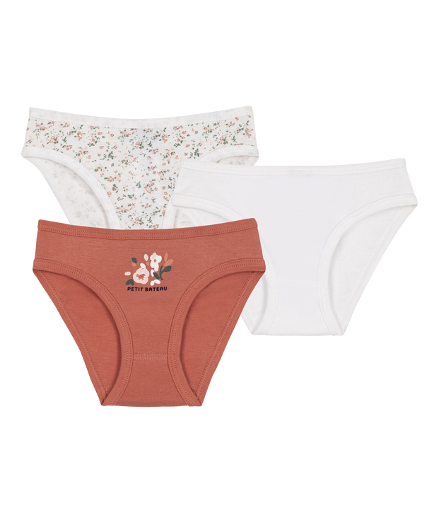 Lot de 3 culottes en coton multicouleur