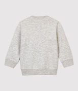 gris BELUGA CHINE