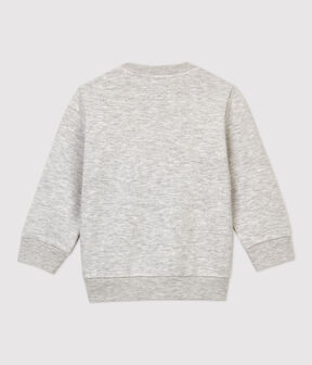 gris BELUGA CHINE