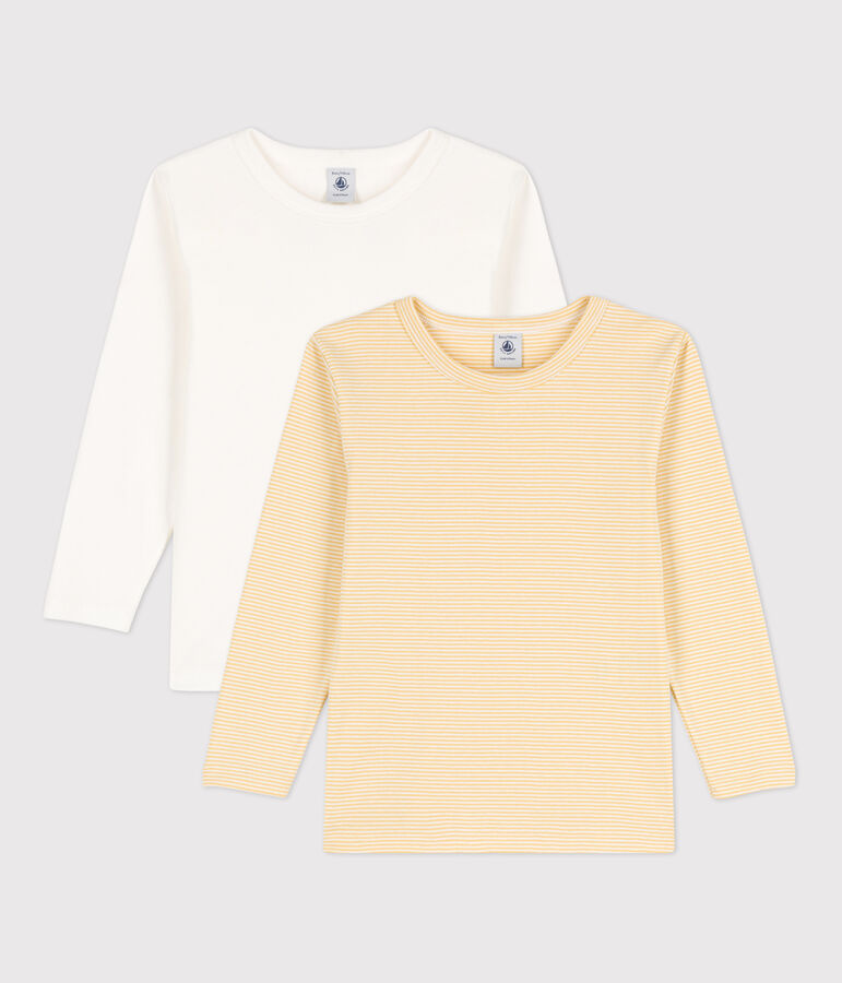 Lot de 2 tee-shirts manches longues petit gar&ccedil;on en coton multicouleur