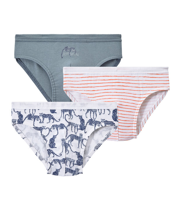 Lot de 3 slips gar&ccedil;on blanc